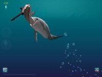Cкриншот Shark Eaters: Rise of the Dolphins, изображение № 4685 - RAWG