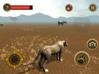 Cкриншот Cheetah Chase, изображение № 1773889 - RAWG