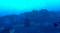 Cкриншот Ocean's Treasures, изображение № 1703231 - RAWG