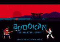 Cкриншот Budokan: The Martial Spirit (1991), изображение № 747729 - RAWG