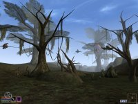 Cкриншот The Elder Scrolls III: Morrowind, изображение № 290019 - RAWG