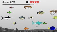 Cкриншот Hungry Fish Evolution, изображение № 1673309 - RAWG