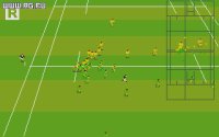 Cкриншот World Class Rugby '95, изображение № 344644 - RAWG