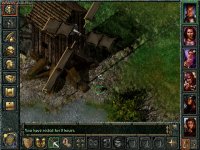 Cкриншот Baldur's Gate, изображение № 317518 - RAWG