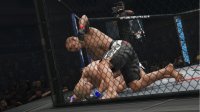 Cкриншот UFC Undisputed 3, изображение № 578281 - RAWG