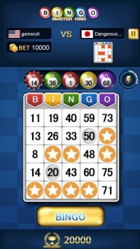 Cкриншот Bingo Master King, изображение № 1578888 - RAWG