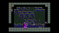 Cкриншот Castlevania II: Simon's Quest (1987), изображение № 803635 - RAWG