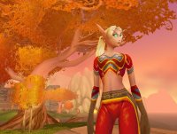 Cкриншот World of Warcraft: The Burning Crusade, изображение № 433383 - RAWG