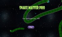 Cкриншот Snake Master Pro 2020, изображение № 2389908 - RAWG