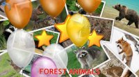 Cкриншот Animals for Kids, Planet Earth Animal Sounds, изображение № 1558457 - RAWG