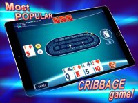 Cкриншот Ultimate Cribbage: The Classic, изображение № 2035238 - RAWG