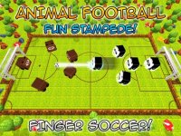 Cкриншот Animal Soccer: Star Match, изображение № 2136916 - RAWG