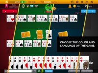 Cкриншот Canasta Hand And Foot, изображение № 2681470 - RAWG