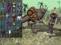 Cкриншот Dungeon Siege: Легенды Аранны, изображение № 370000 - RAWG