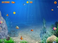 Cкриншот Hungry Nemo, изображение № 927066 - RAWG