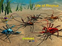 Cкриншот Life of Phrynus - Whip Spider, изображение № 2379587 - RAWG