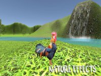 Cкриншот Rooster Simulator, изображение № 1705543 - RAWG