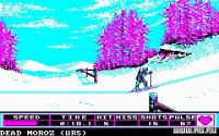 Cкриншот Winter Games, изображение № 336419 - RAWG