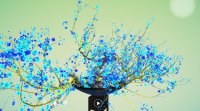 Cкриншот Tree Bonsai, изображение № 3621719 - RAWG