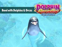 Cкриншот Dolphin Paradise: Wild Friends, изображение № 1703709 - RAWG