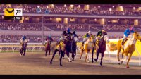 Cкриншот Rival Stars Horse Racing: Desktop Edition, изображение № 2345205 - RAWG