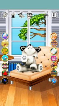 Cкриншот Talking Dog Husky Puppy, изображение № 1586372 - RAWG