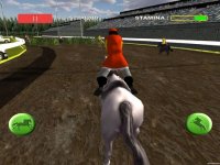 Cкриншот Horse Racing - Race Horses Derby 3D, изображение № 1706256 - RAWG