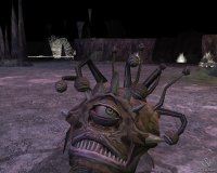 Cкриншот Neverwinter Nights: Hordes of the Underdark, изображение № 372748 - RAWG