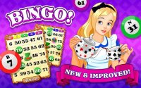 Cкриншот Bingo Wonderland, изображение № 1416527 - RAWG