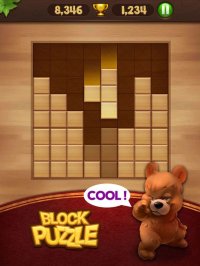 Cкриншот Block Puzzle Wood, изображение № 903351 - RAWG