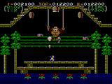 Cкриншот Donkey Kong 3, изображение № 822789 - RAWG