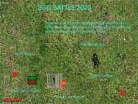 Cкриншот Bug Battle 2020, изображение № 2410714 - RAWG