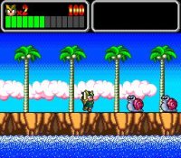 Cкриншот Wonder Boy III: Monster Lair (1989), изображение № 760950 - RAWG