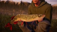 Cкриншот Fishing Sim World + Quad Lake Pass, изображение № 1782082 - RAWG