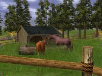 Cкриншот Wildlife Park 2: Horses, изображение № 493883 - RAWG