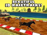 Cкриншот Horse Racing Derby, изображение № 1561822 - RAWG