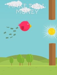 Cкриншот Money Birds, изображение № 2109131 - RAWG