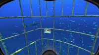 Cкриншот World of Diving, изображение № 113406 - RAWG