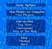 Cкриншот WWF King of the Ring, изображение № 738779 - RAWG