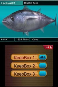 Cкриншот Reel Fishing 3D Paradise, изображение № 794965 - RAWG