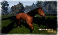 Cкриншот Horse Riding Deluxe, изображение № 716035 - RAWG