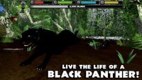 Cкриншот Panther Simulator, изображение № 2104835 - RAWG