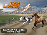 Cкриншот Crazy Dog Racing: Chase Racing Bunny With Pet Dog, изображение № 1780122 - RAWG