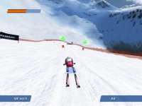 Cкриншот Ski Racing 2006, изображение № 436202 - RAWG