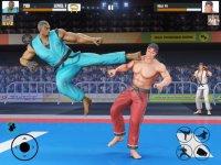 Cкриншот Kung Fu Fight: Karate Fighter, изображение № 2805473 - RAWG