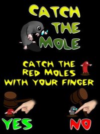 Cкриншот Catch the Mole Free, изображение № 955627 - RAWG