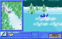 Cкриншот Games: Winter Challenge, изображение № 340085 - RAWG