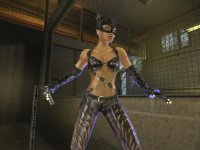 Cкриншот Catwoman, изображение № 392807 - RAWG
