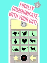 Cкриншот Crazy Cat Translator & Sounds, изображение № 2029583 - RAWG