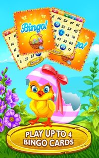 Cкриншот Easter Bunny Bingo, изображение № 1417824 - RAWG